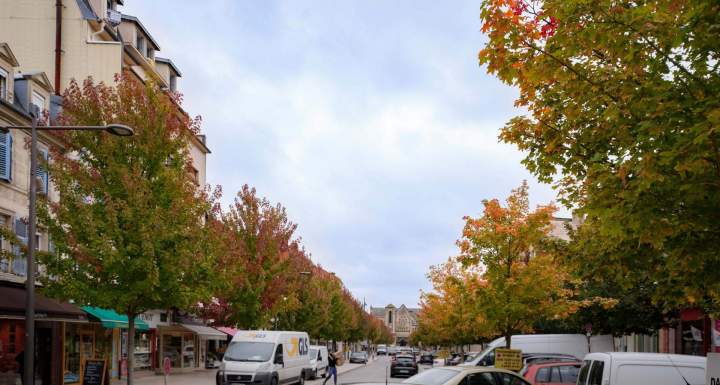 Conception de parc et jardins Bar-le-Duc