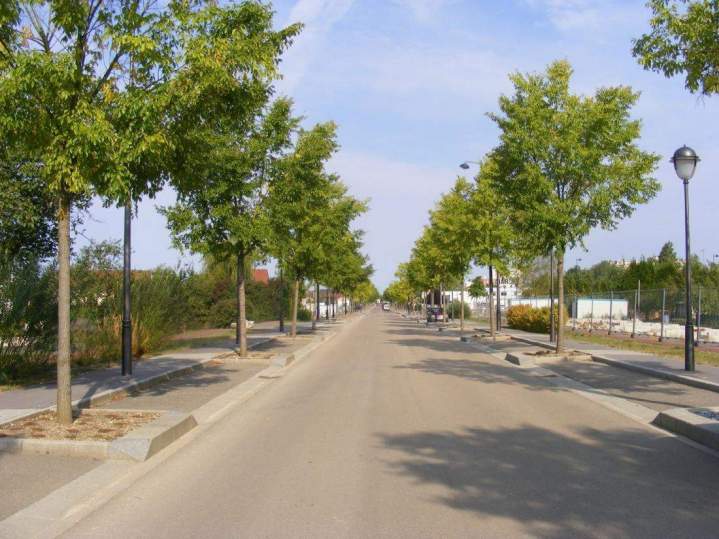 Création de parc et jardins Bar-le-Duc