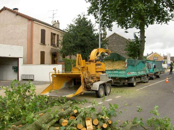 Élagage d’arbres Bar-le-Duc