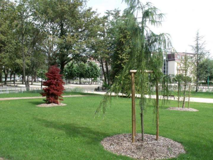 Création de parc et jardins Bar-le-Duc