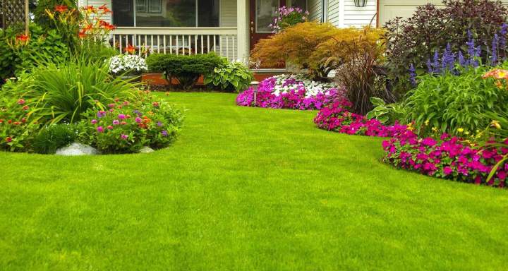 Création de jardin Bar-le-Duc