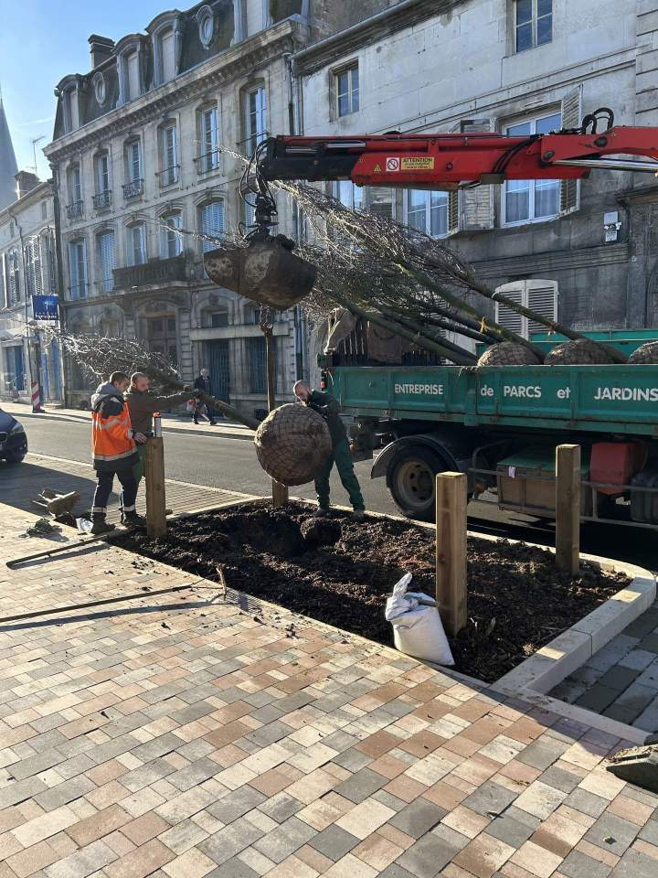 Création de parc et jardins Bar-le-Duc
