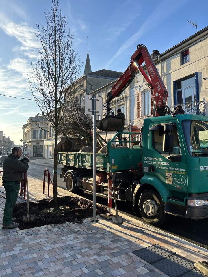 Création de parc et jardins Bar-le-Duc