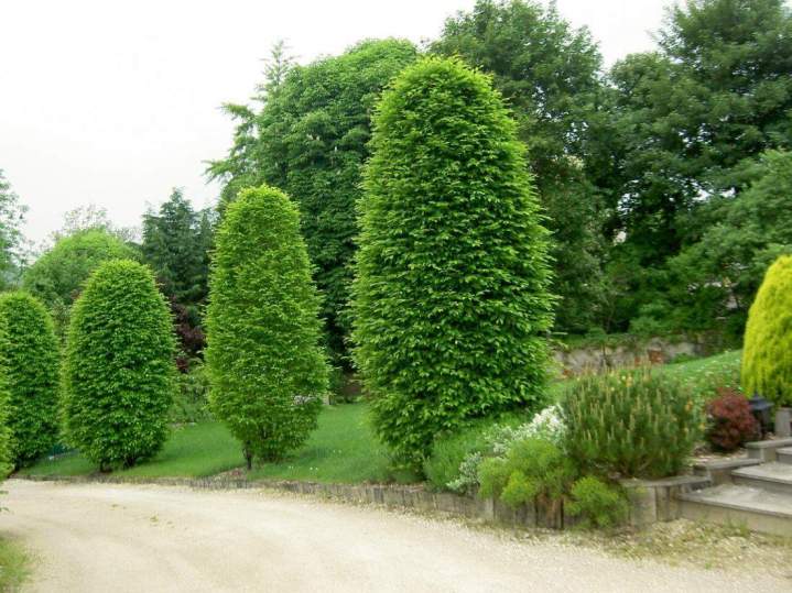 Agencement extérieur Bar-le-Duc